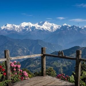 Darjeeling and Latpanchar: Forests, Feathers and Family Time