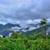 Ooty: A Women’s Retreat in the Hills - Ooty, Kotagiri & Coonoor: Nilgiri Wildlife Escape with Family