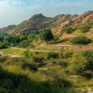 Aravalli Biodiversity Park-Gurgaon