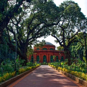Cubbon Park Morning Nature Walk, Bengaluru