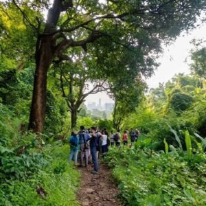 Sanjay Gandhi National Park Morning Nature Walk, Mumbai